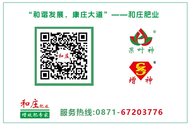 和庄肥业 云南化肥 昆明肥料厂家 有机肥 尿素 肥料市场价格
